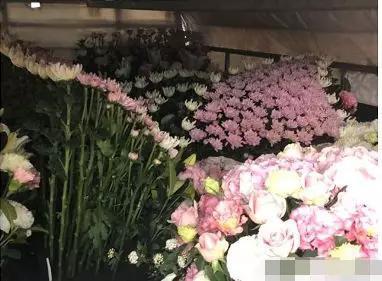 刘真灵堂布置曝光！现场布满粉白色花海灵堂一天要价一万多(图6)