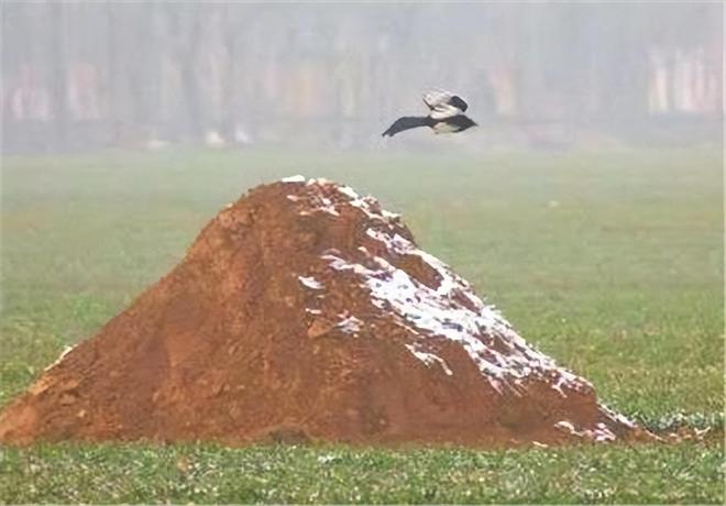 “积雪压坟必出贵人逢雨打灵后代必穷”丧葬知识你知多少(图2)