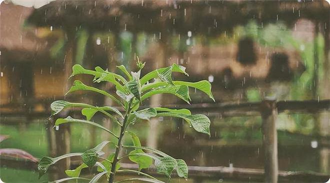 “积雪压坟必出贵人逢雨打灵后代必穷”丧葬知识你知多少(图5)