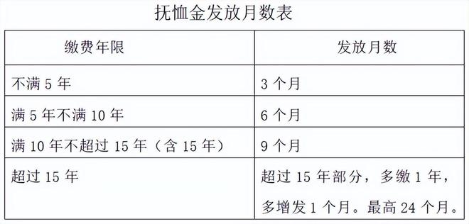 辽宁省2024年度政策出炉丧葬抚恤金、医保、工资大改革！(图2)