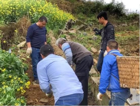 老一辈常说：“4人不上坟子孙一直富”这句话有什么依据吗？(图3)