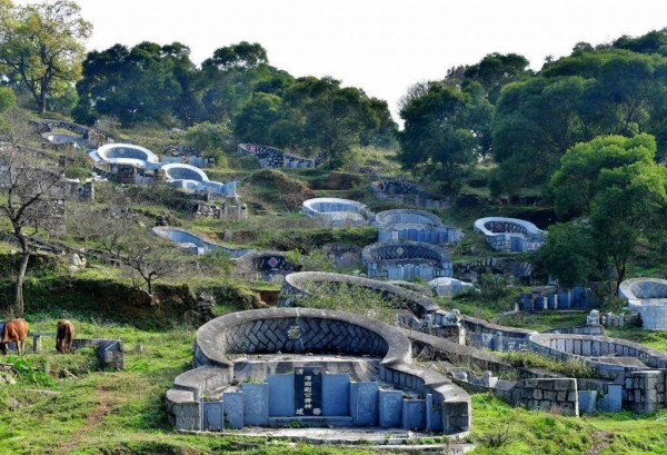 土葬未来会取消吗？2024年农村殡葬有哪些治理新规？(图6)