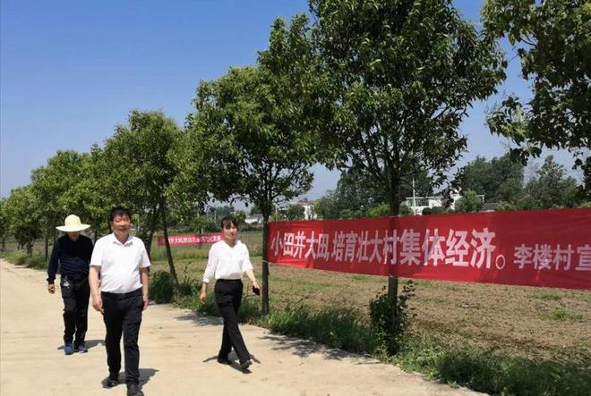 农村殡葬改革：火葬取代土葬后坟头也要“清除”！农民咋看？(图4)