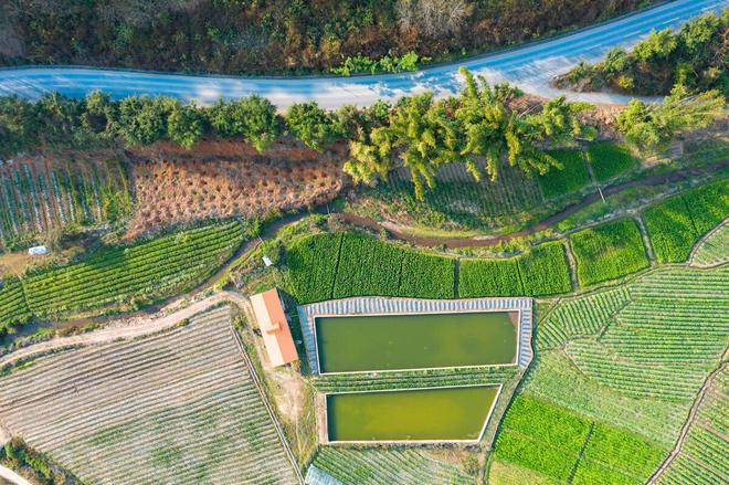 24年起农村土葬、火葬迎新调整？中央定调：“2拆2清”要执行(图2)