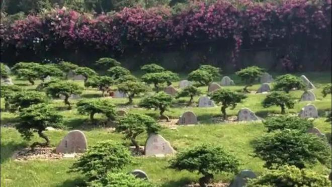 “火葬”将被淘汰？新方式已经在国内试用很多人表示不能接受(图22)