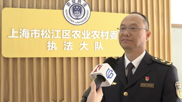 KAIYUN：宠物殡葬店开在居民楼下随意焚烧动物遗体(图8)