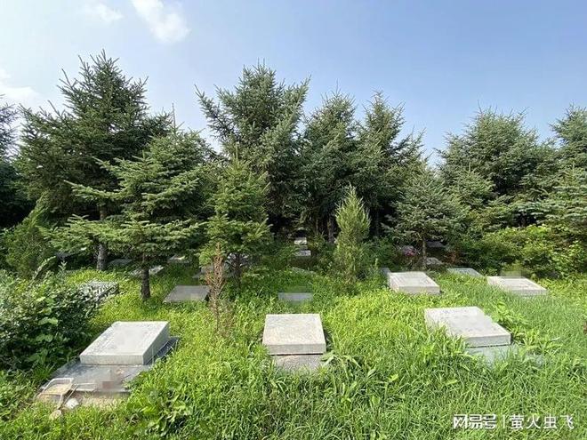 辉山纪念林墓园这样的公墓沈阳不会再有第二个！(图2)