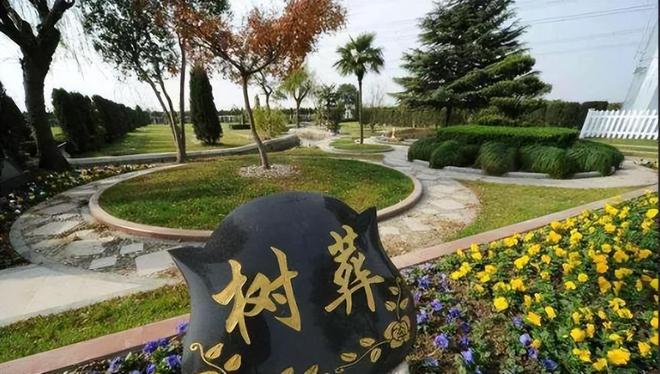KAIYUN：小S真心曝光？不给姐姐买墓地选便宜的树葬还拿大S曾经言论挡枪(图8)