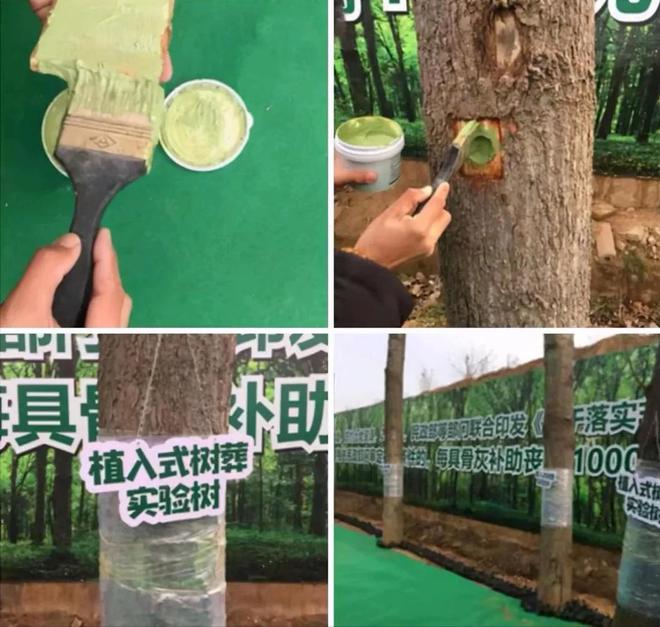 KAIYUN：小S真心曝光？不给姐姐买墓地选便宜的树葬还拿大S曾经言论挡枪(图9)