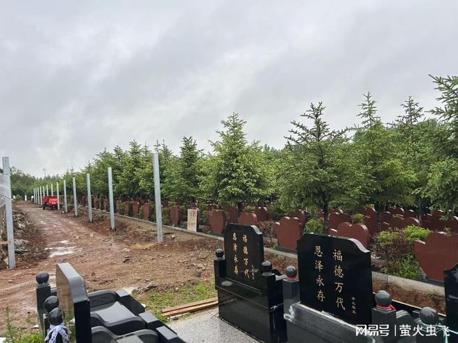 沈阳纪念林墓园：树葬生态葬新趋势386万起擦亮双眼防诈骗！(图2)