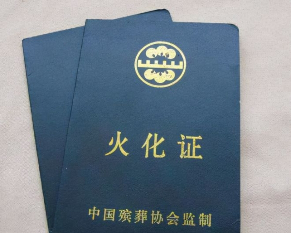 未来中国将迎来死亡高峰背后的三大深层原因揭秘(图5)