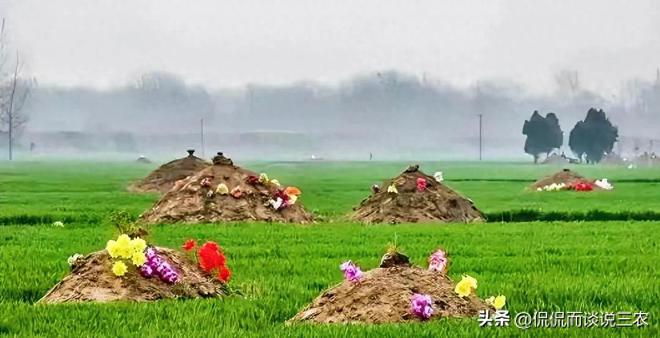 KAIYUN：农村“偷埋”现象背后殡葬改革撞上千年执念(图1)