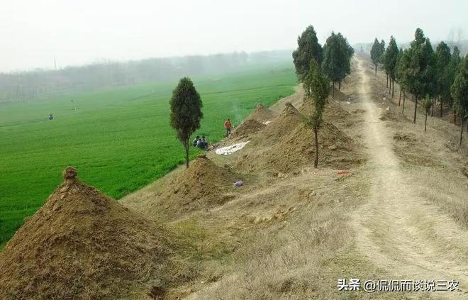 KAIYUN：农村“偷埋”现象背后殡葬改革撞上千年执念(图2)