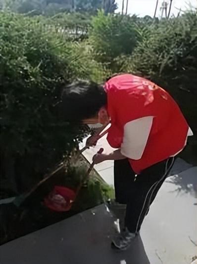 KAIYUN：武汉民政职业学院“以青春之名赴家乡之约”优秀个人事迹展示(图13)
