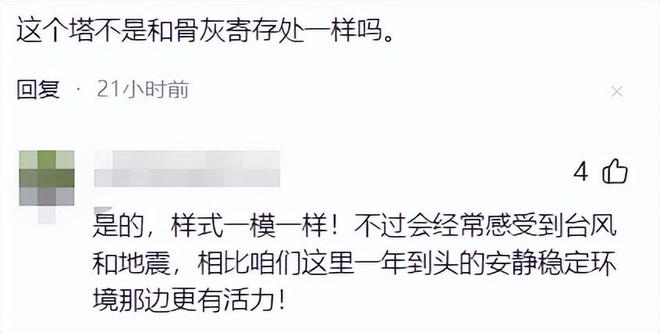 太寒酸！大S墓地与邓丽君为邻塔葬规格曝光网友直呼：鸽子笼(图8)