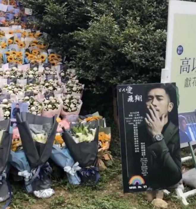 太寒酸！大S墓地与邓丽君为邻塔葬规格曝光网友直呼：鸽子笼(图4)