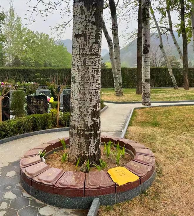 为何说土葬比火葬更可怕？尸体下葬后的一个月到底发生了什么？(图28)