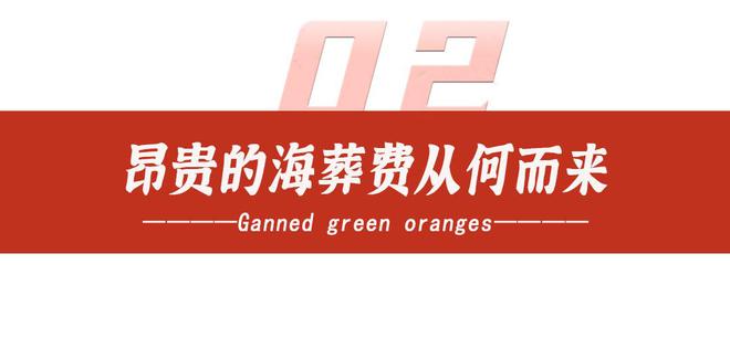 不就是将骨灰撒海里为何部分海葬贵达上万？免费海葬还要排队？(图11)