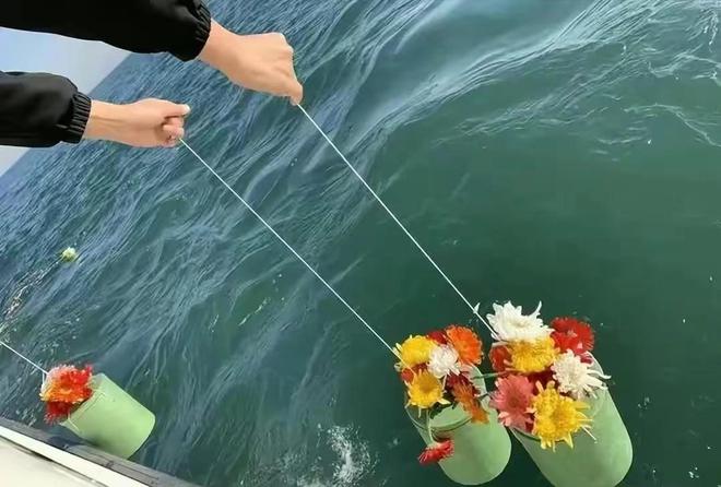 不就是将骨灰撒海里为何部分海葬贵达上万？免费海葬还要排队？(图13)