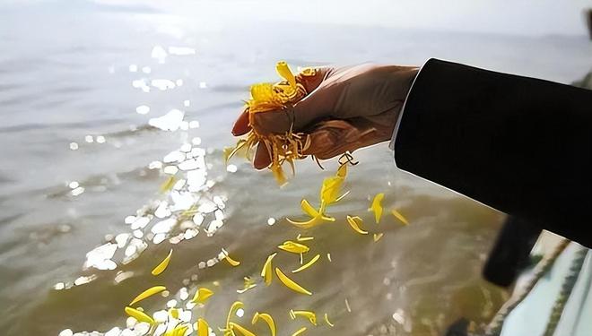 不就是将骨灰撒海里为何部分海葬贵达上万？免费海葬还要排队？(图23)