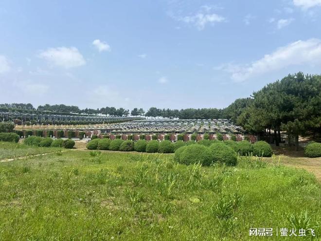回顾2024年!沈阳中华寺墓园销售火爆禅意安息之地受热捧！(图3)