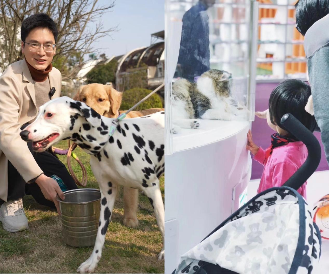 KAIYUN入口：新闻有观点·行业洞察｜把宠物当人养“它经济”如何撬动千亿市场？(图2)