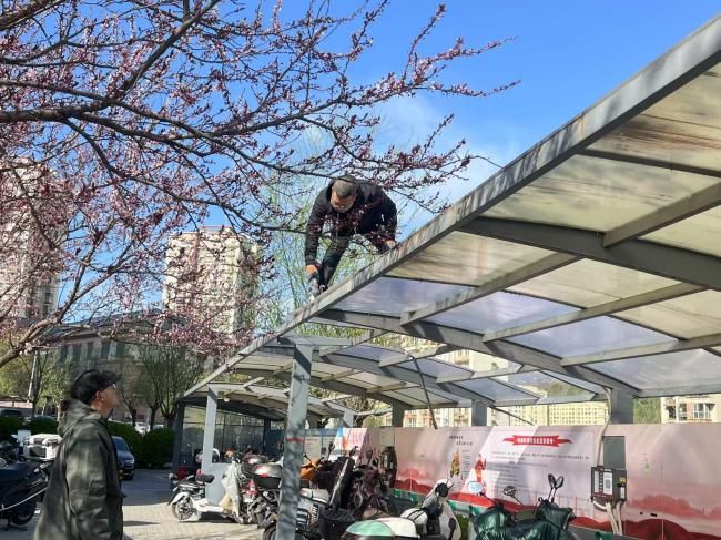 门头沟这个社区迅速修复破损车棚！(图2)