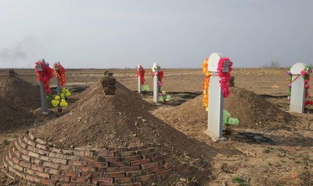 KAIYUN：2025年殡葬改革新规落地！这三大补贴政策让农民省心又省钱(图5)