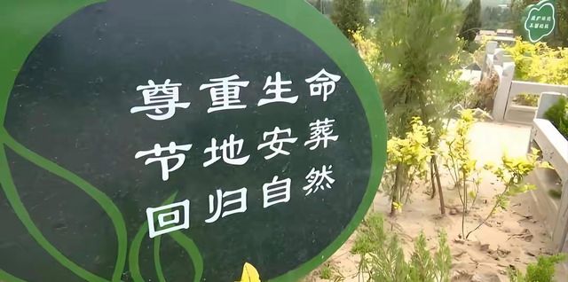 KAIYUN：2025年殡葬改革新规落地！这三大补贴政策让农民省心又省钱(图13)