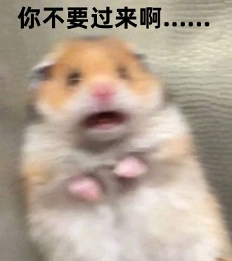 国航客机与顺丰货机差点相撞美国客机险些撞了战斗机飞机有时比人更会开飞机(图1)