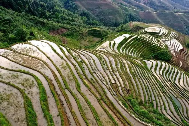中国官宣主权后藏南领导人发声：这是中国固有领土何时能回家(图2)