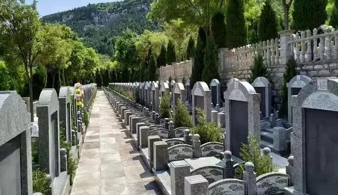 暴利终结？墓地生意的三重收割与消费觉醒(图8)