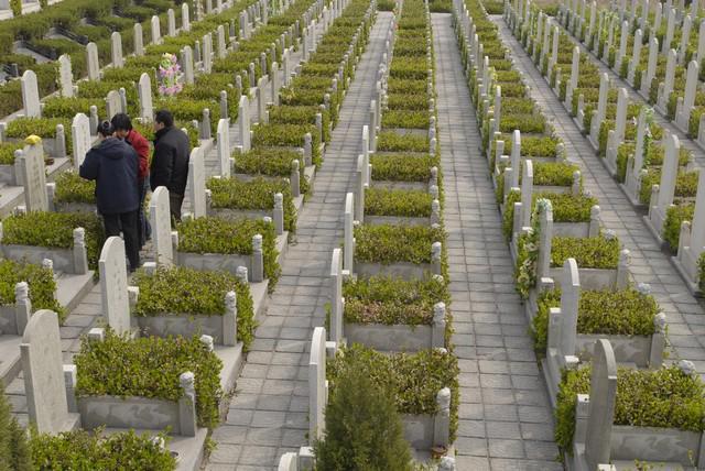 暴利终结？墓地生意的三重收割与消费觉醒(图3)