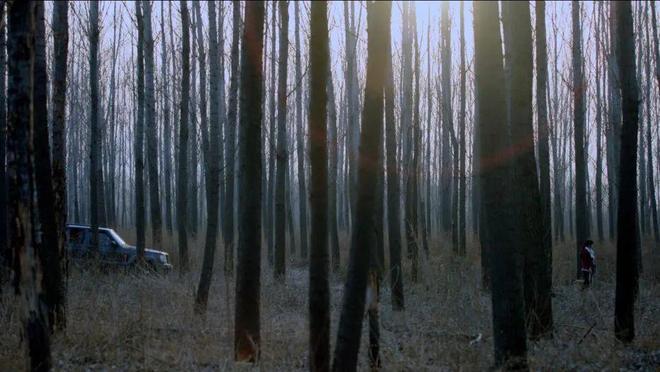 如果我聊天记录的终点是“数字逝者”(图9)