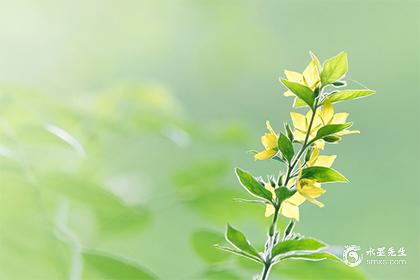 新坟里挖出水是吉是凶？如何解读墓地风水(图1)