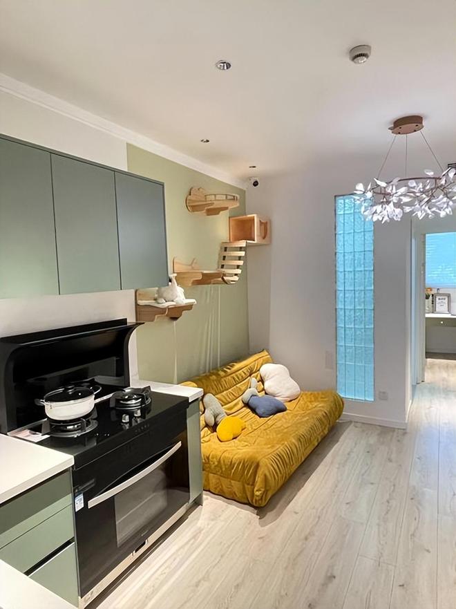 KAIYUN：又爆雷！知名家装公司人去楼空涉案金额巨大百姓维权无望(图10)