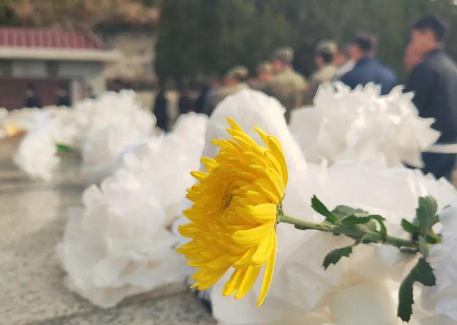 KAIYUN入口：社区干部私建墓穴出售“该当何罪”？(图2)