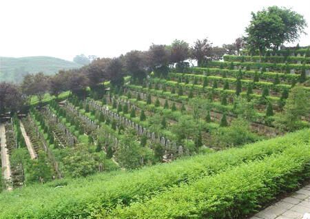 公墓风水的选择(图2)