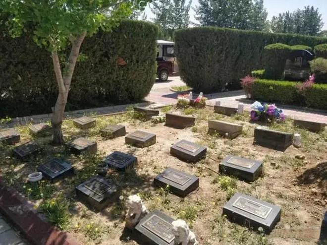 KAIYUN：殡葬业寒冬要来(图2)