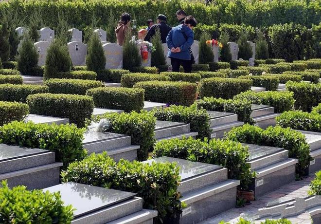 KAIYUN：殡葬业寒冬要来(图3)