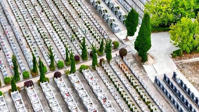 KAIYUN：殡葬业寒冬要来(图5)