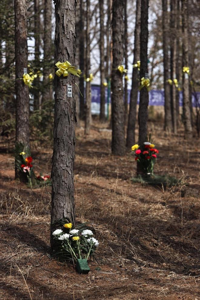 KAIYUN：殡葬业寒冬要来(图16)