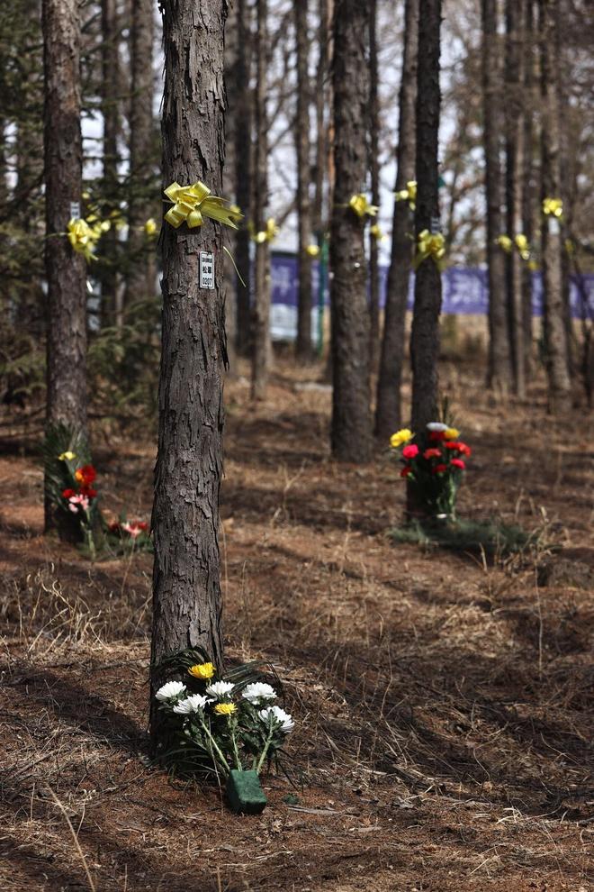 殡葬业寒冬来袭？不是没人离世而是年轻人早已看透“面子经济”(图8)