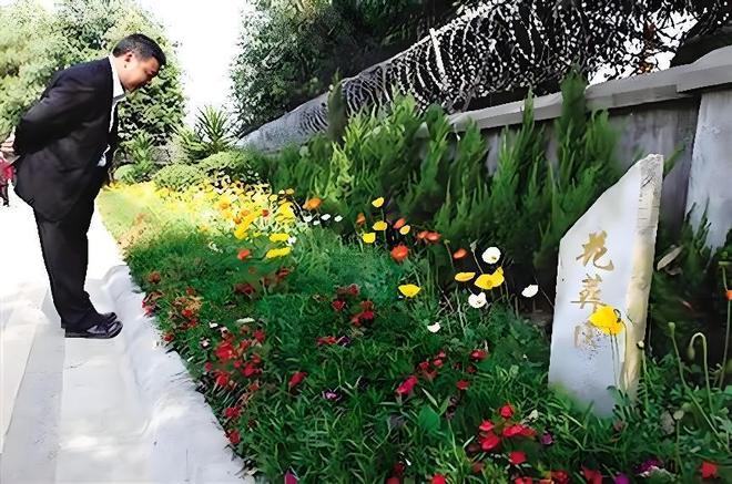 殡葬业寒冬来袭？不是没人离世而是年轻人早已看透“面子经济”(图11)