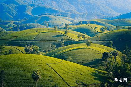 2024年立碑黄道吉日一览表2024年立碑迁坟吉日（80天）(图1)