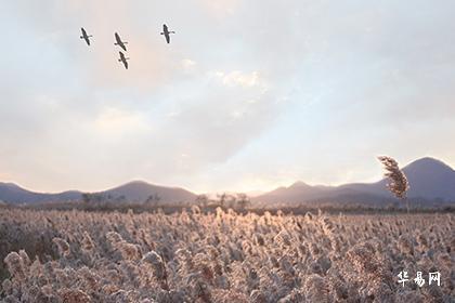 2024年立碑黄道吉日一览表2024年立碑迁坟吉日（80天）(图3)