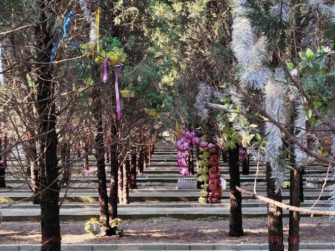 殡葬业寒冬来袭？不是没人离世而是年轻人不愿再花这笔钱了(图4)