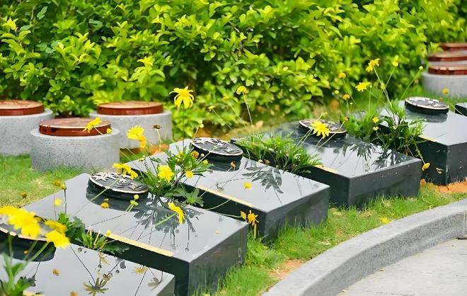 从仙桃殡仪馆馆长落马看殡葬黑幕：人死后竟成“摇钱树”？(图6)