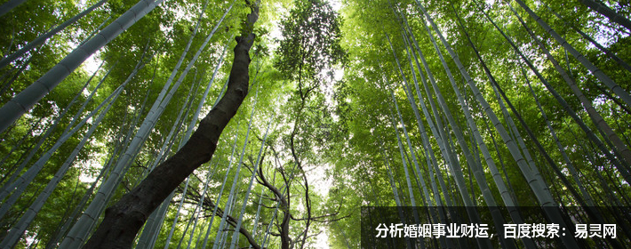 KAIYUN：简单4招判断自家坟地风水吉凶不用请“老师”几分钟自学！(图1)