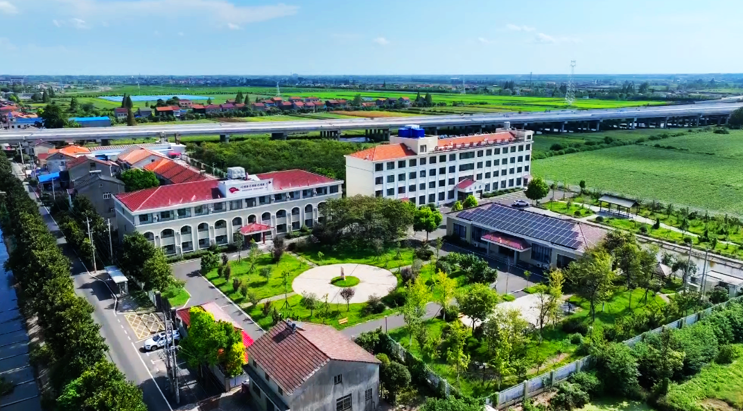 荆州公安县：为“夕阳红”撑起暖心“保护伞”(图3)